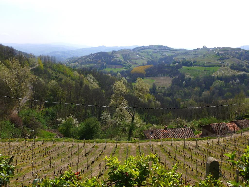 Bed And Breakfast Val D'Oche Castel Boglione Exterior foto